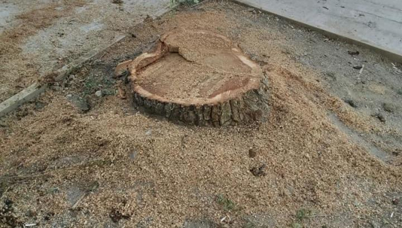 Քաղաքապետարանի հերթական այլանդակությունը՝ Մարությանի կատարմամբ